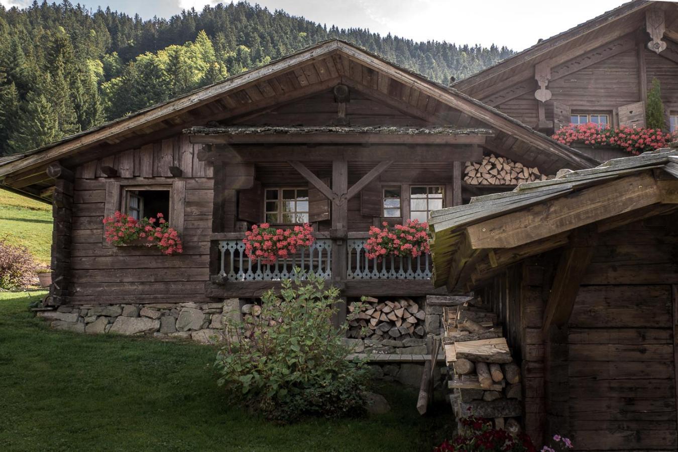 La Ferme Des Vonezins Hotel Thones Ngoại thất bức ảnh
